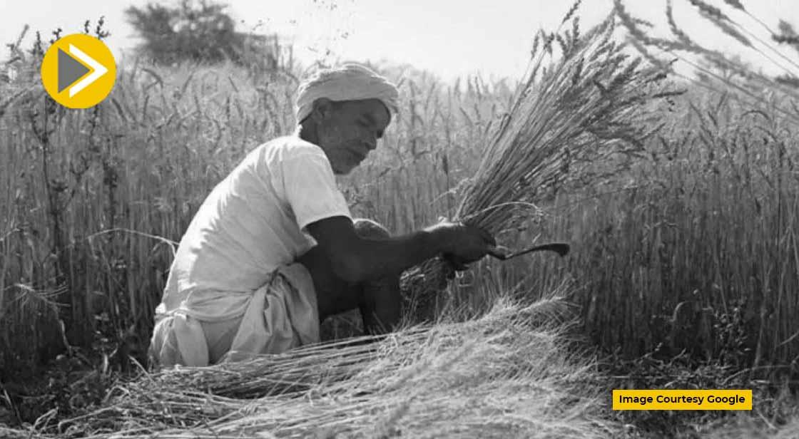 कृषि यंत्रों की खरीद के लिए अनुदान दे रही यूपी सरकार