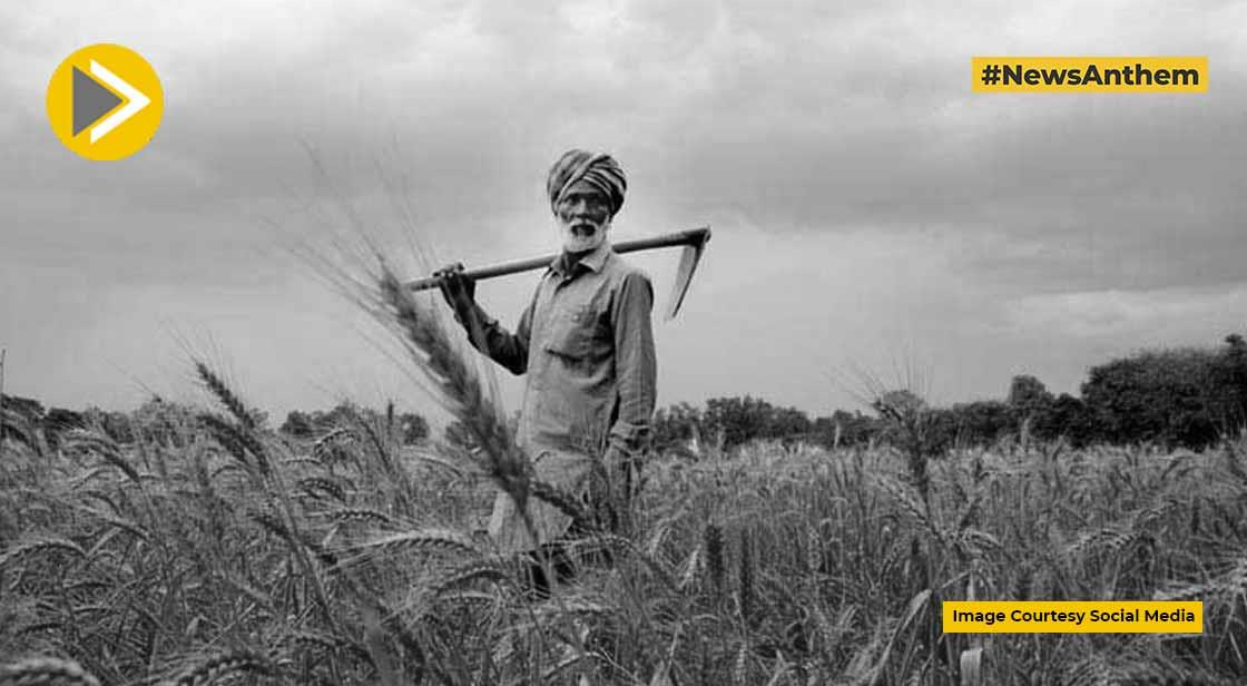 भारत से गेहूं निर्यात पर बैन के बाद बांग्लादेश अब पहुंचा रूस के पास