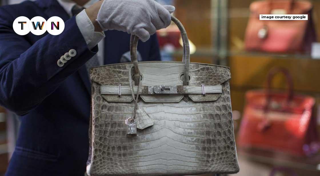 Top 10 Most Expensive Handbag Brands In The World 2024-demhanvico.com.vn