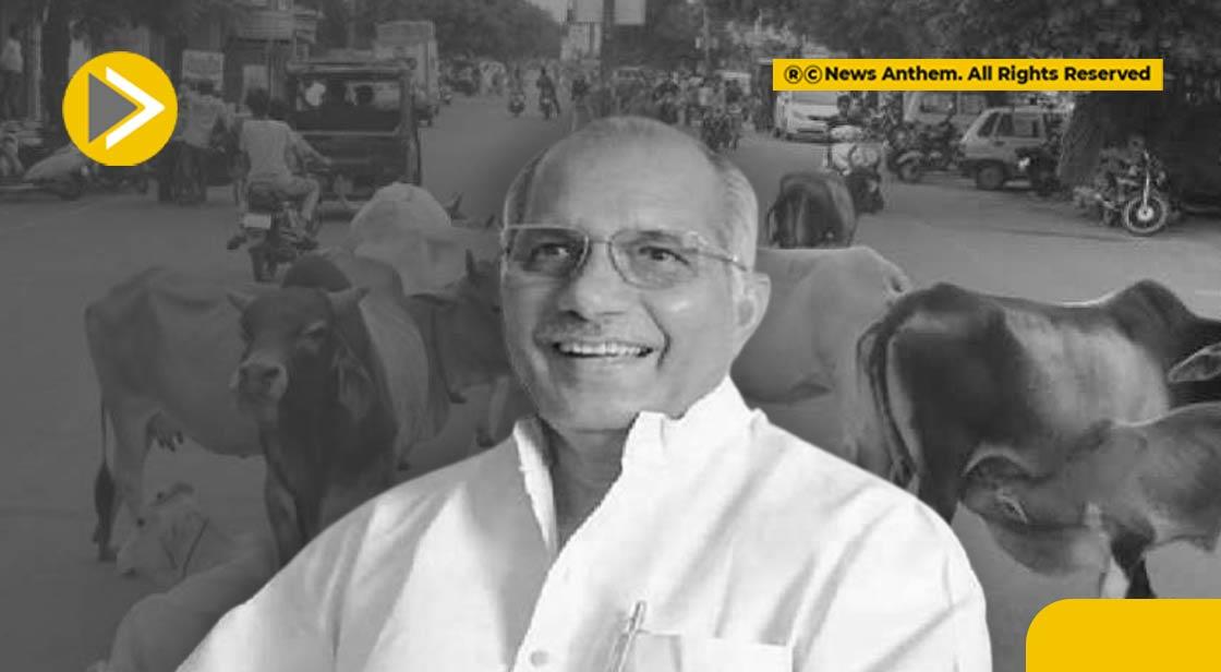 छुट्टा पशु सड़कों पर नहीं दिखेंगे- पशुधन मंत्री