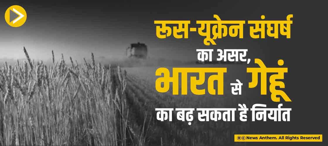 रूस-यूक्रेन संघर्ष का असर, भारत से गेहूं का बढ़ सकता है निर्यात