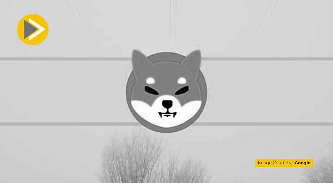 Shiba Inu के फाउंडर ने सभी ट्वीट और ब्लॉग हटाए