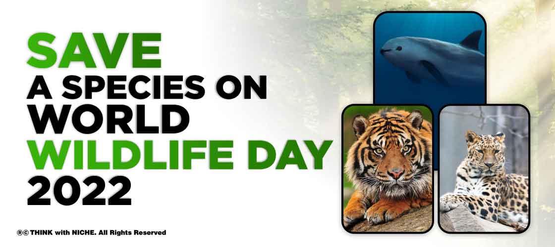 save-a-species-on-world-wildlife-day-2022