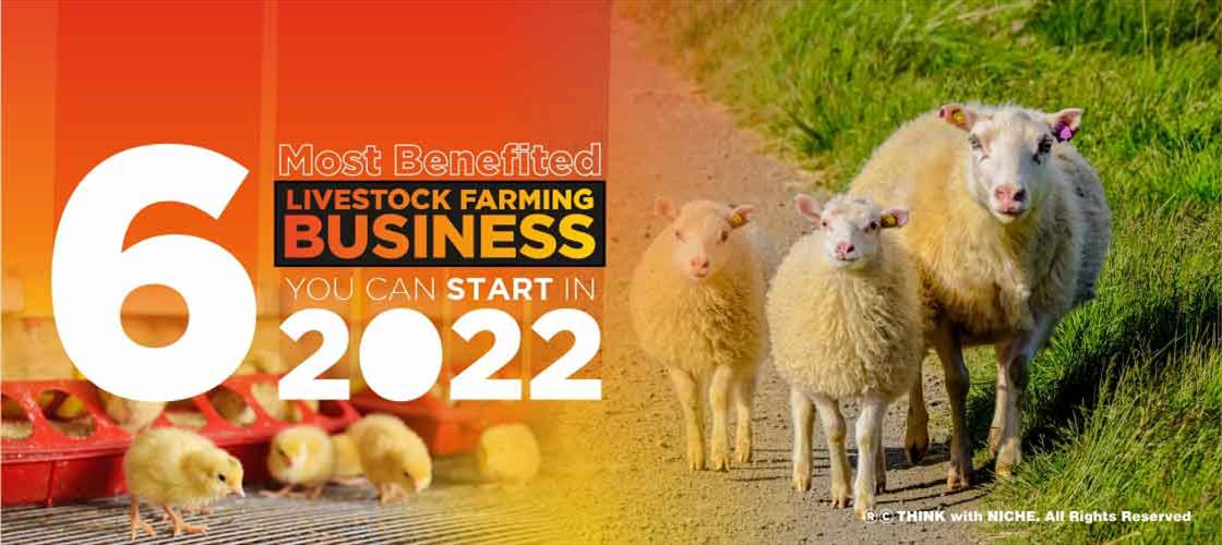 6 Most Benefitted Livestock Farming Business to Start In 2022