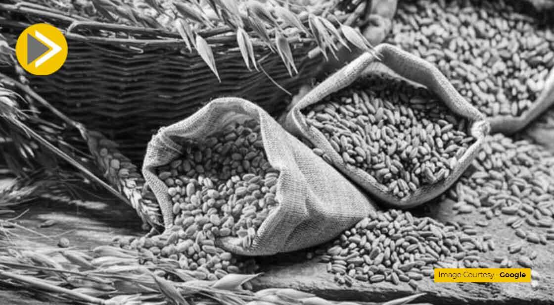 Rich Nations Pitch Climate, Sustainable Agri in WTO Talks