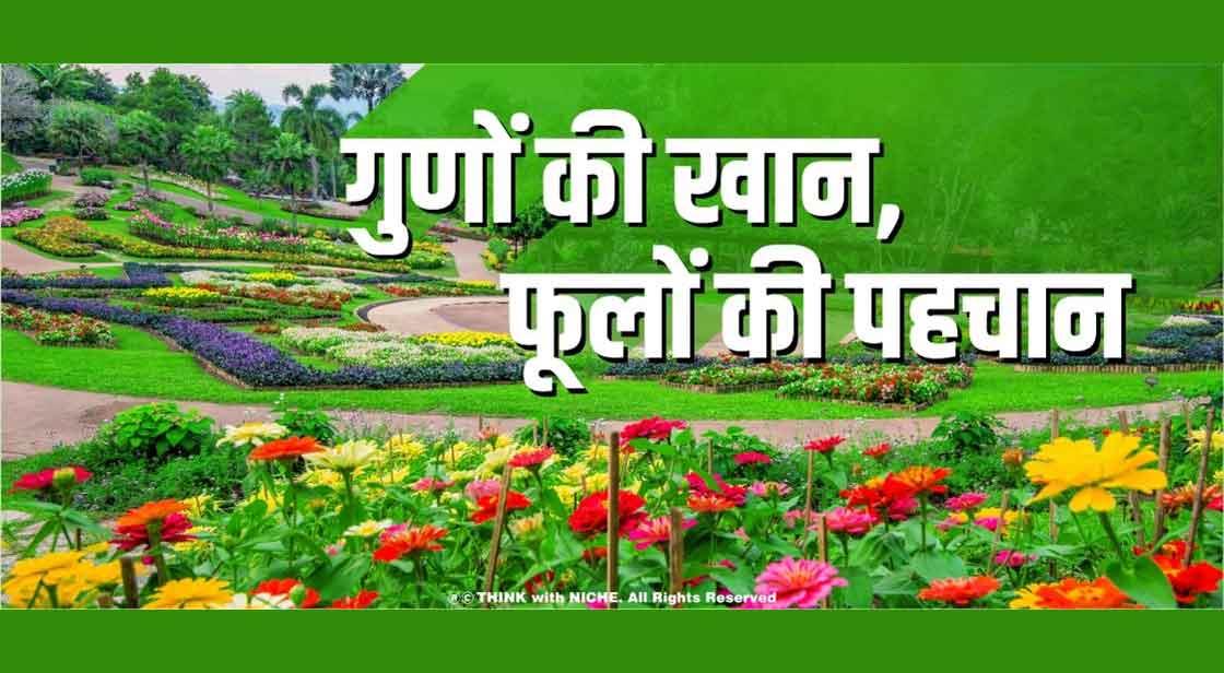गुणों की खान, फूलों की पहचान