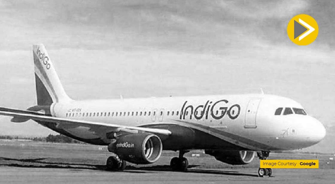 IndiGo Will Not Appeal Against DGCA in Special Abled Child Incident