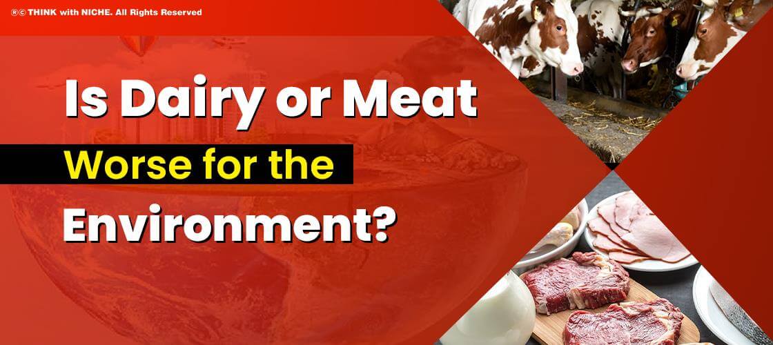 Is Dairy Or Meat Worse For The Environment?