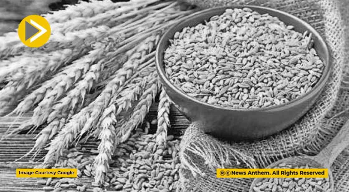Wheat Prices Increase: गेंहू की बढ़ सकती हैं कीमतें, इससे घर का बिगड़ सकता है बजट