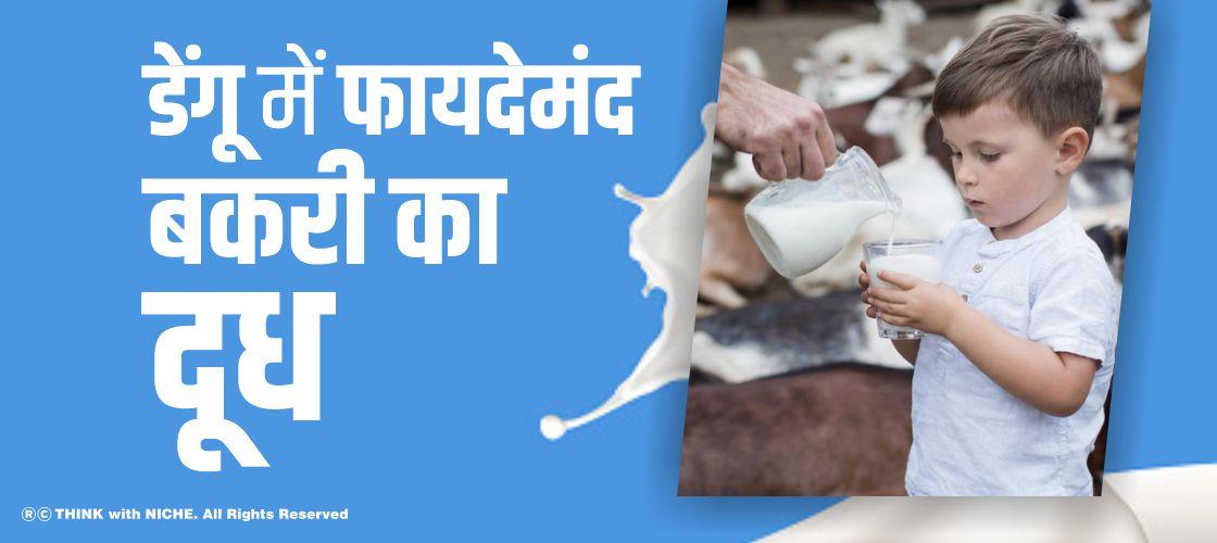 डेंगू में फायदेमंद बकरी का दूध