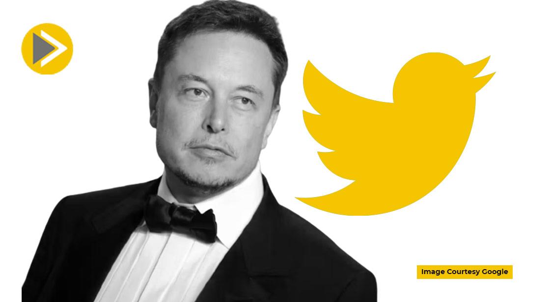 Elon Musk will likely appoint himself as temporary Twitter CEO