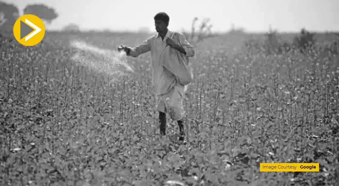 IFFCO ने किसानों के लिए पेश किया दुनिया का पहला लिक्विड नैनो यूरिया