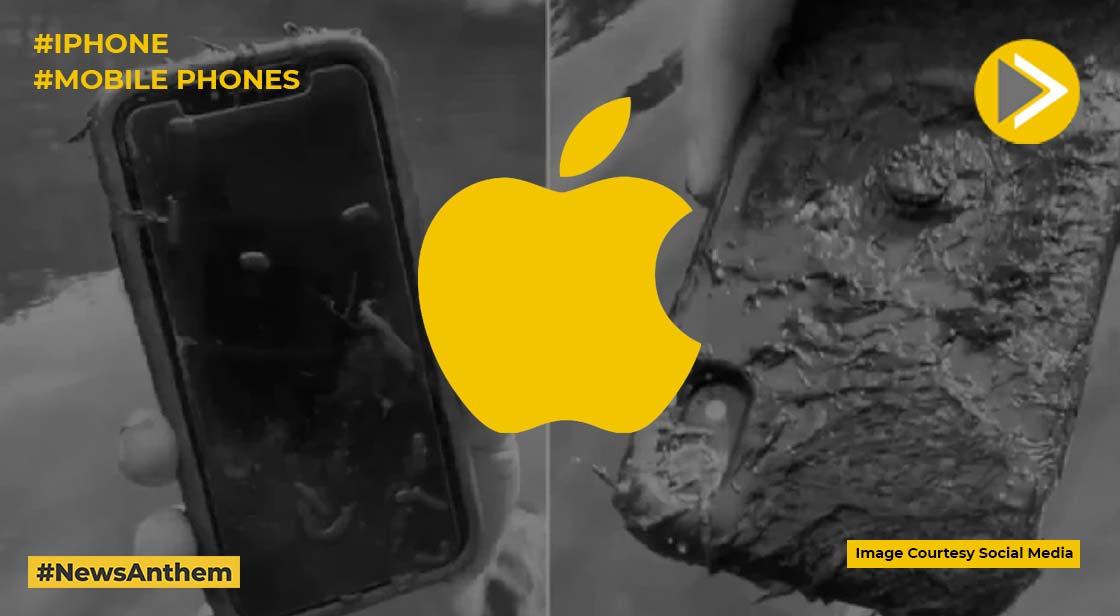 10 महीने पहले नदी में गिरा था iPhone, सही हालत में शख्स को मिला वापस