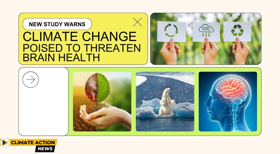 Climate Change Poised to Threaten Brain Health, New Study Warns