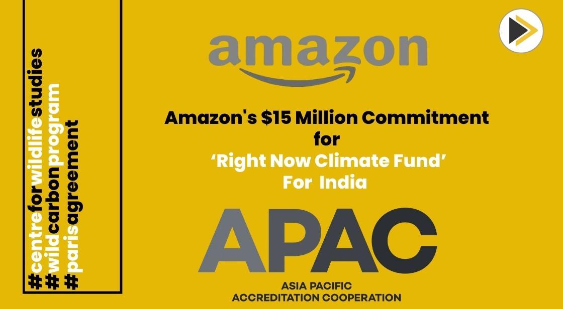 Amazon's $15 Million Commitment to Nature-Based Solutions in APAC