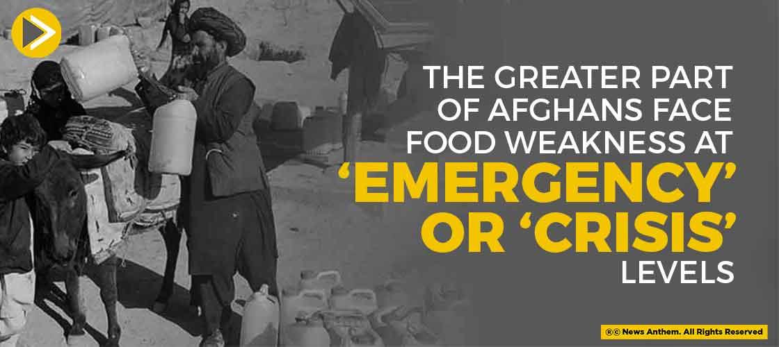 The Greater Part Of Afghans Face Food Weakness At 'Emergency' Or 'Crisis' Levels
