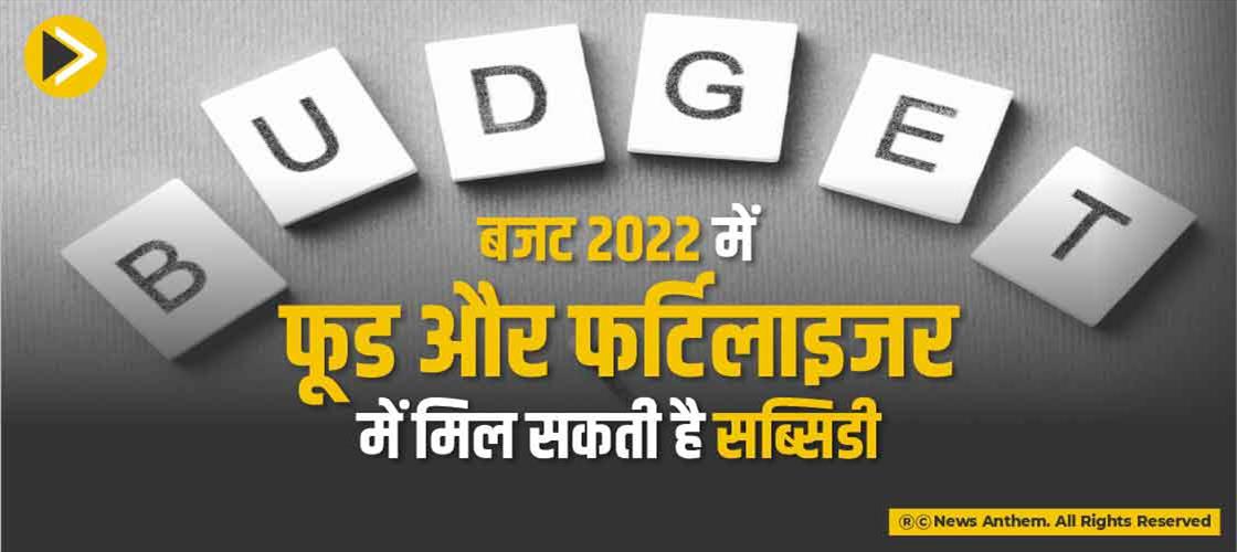 बजट 2022 में फूड और फर्टिलाइजर में मिल सकती है सब्सिडी