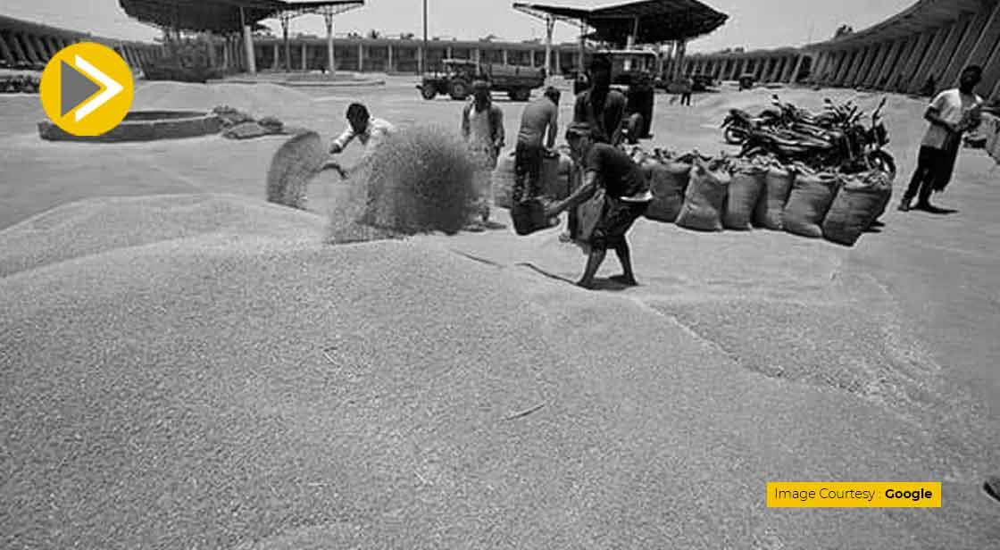 US Hopes India would 'Reconsider' its Decision to Restrict Wheat Exports