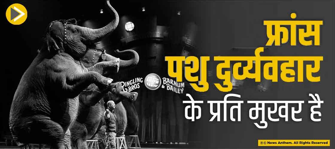 फ्रांस पशु दुर्व्यवहार के प्रति मुखर है