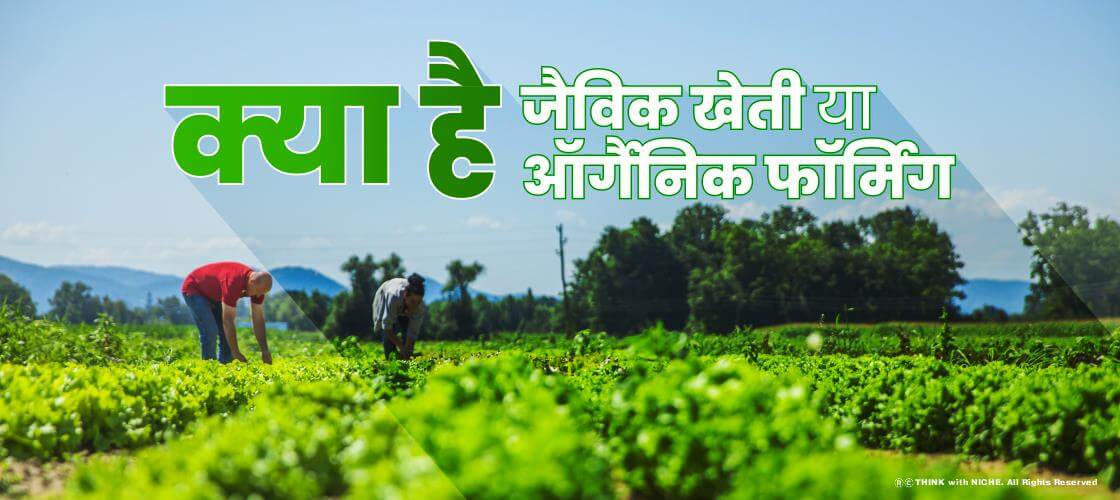 क्या है जैविक खेती या ऑर्गैनिक फॉर्मिंग