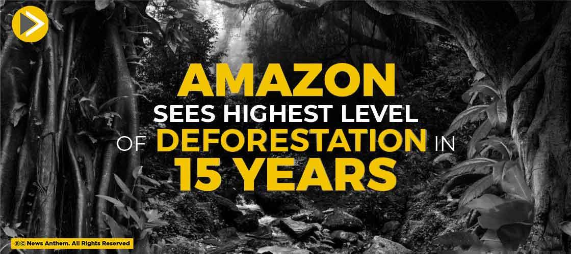 Amazon sees Highest Level of Deforestation in 15 Years
