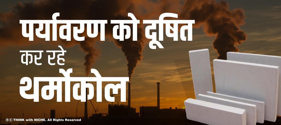 पर्यावरण को दूषित कर रहे थर्मोकोल