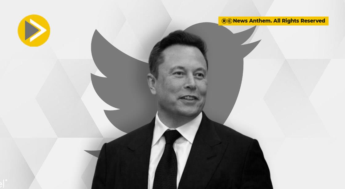 Elon Musk Discloses 9% Stake in Twitter