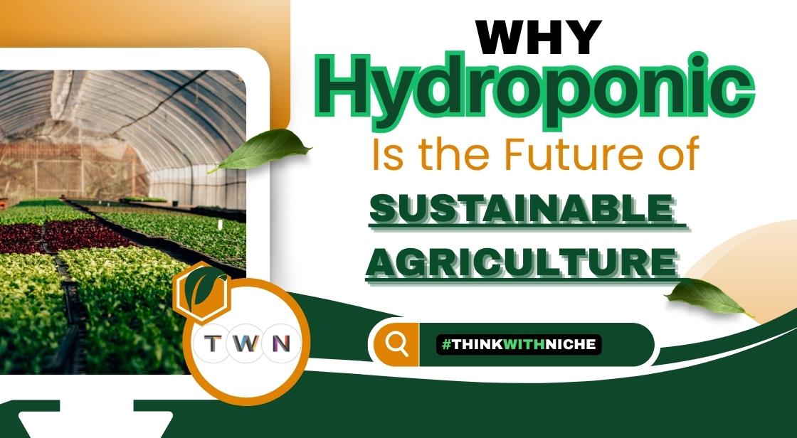 Why Hydroponics Is the Future of Sustainable Agriculture?