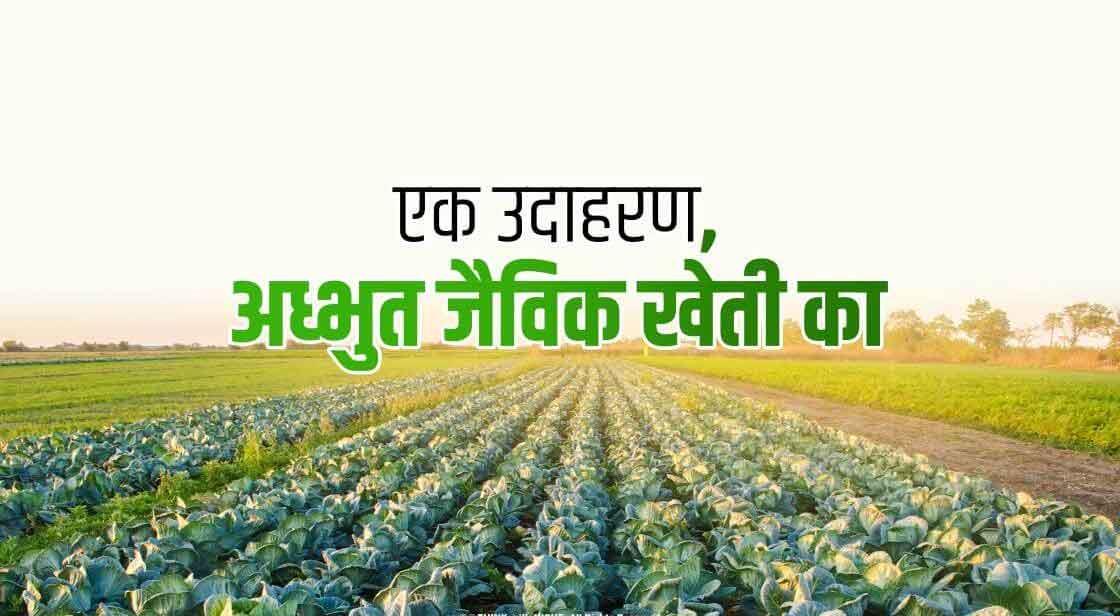 एक उदाहरण, अध्भुत जैविक खेती का
