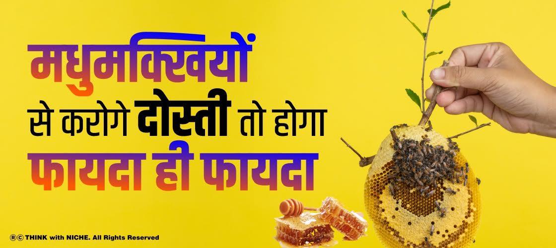 मधुमक्खियों से करोगे दोस्ती तो होगा फायदा ही फायदा