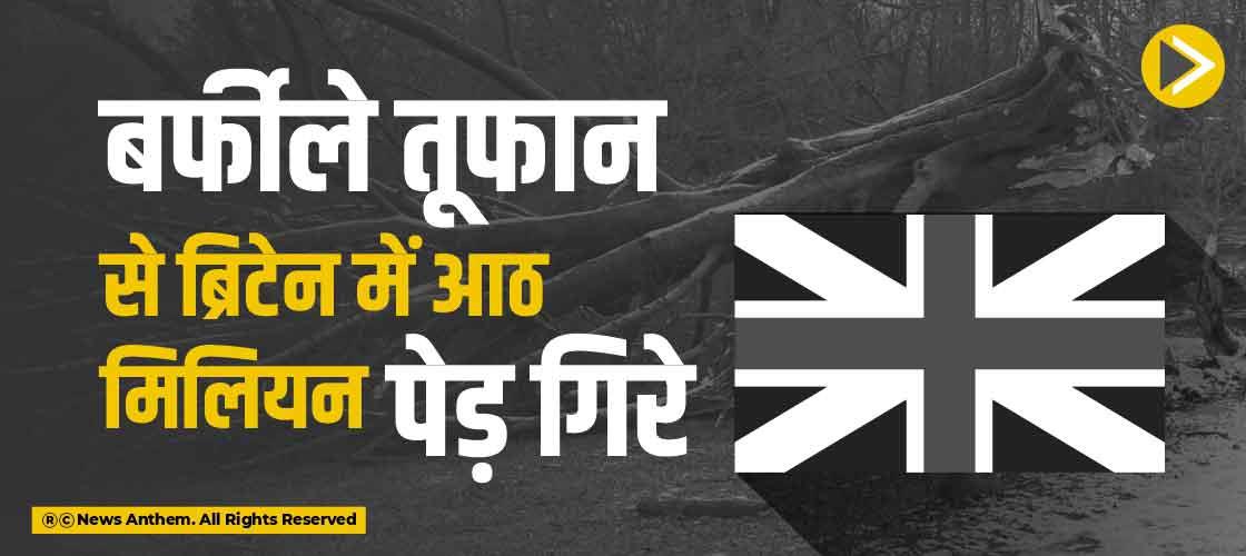 बर्फीले तूफान से ब्रिटेन में आठ मिलियन पेड़ गिरे