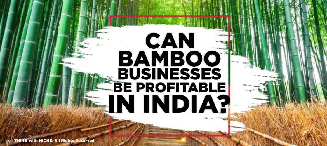 Can Bamboo Businesses be Profitable in India?