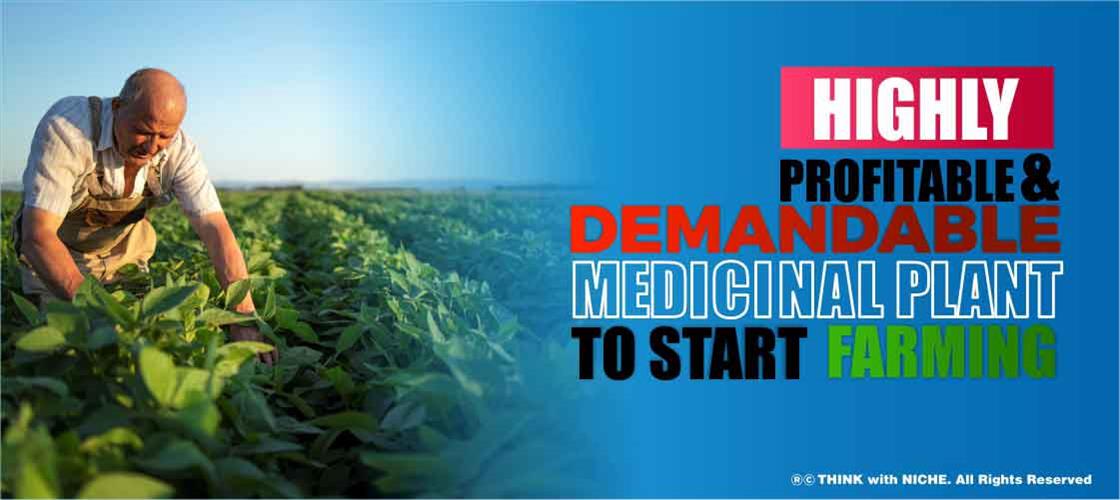 highly-profitable-demandable-medicinal-plant-to-start-farming