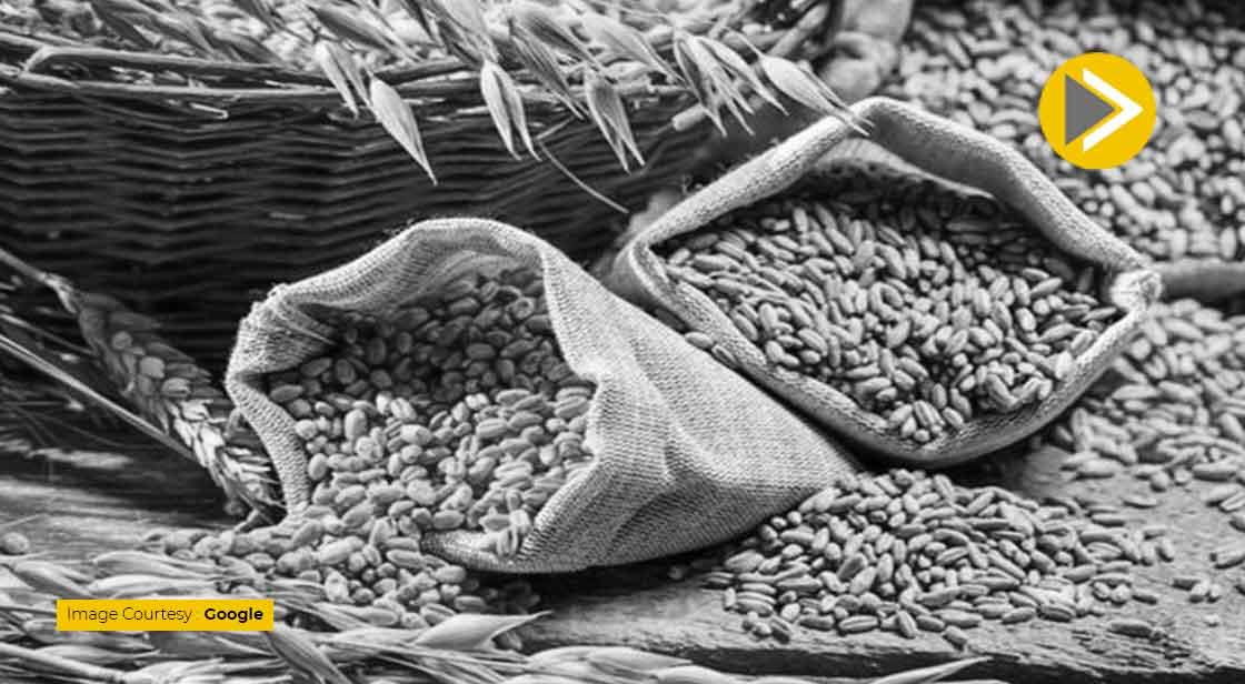 India says it is Unfair to blame Wheat Inflation on Export Curbs