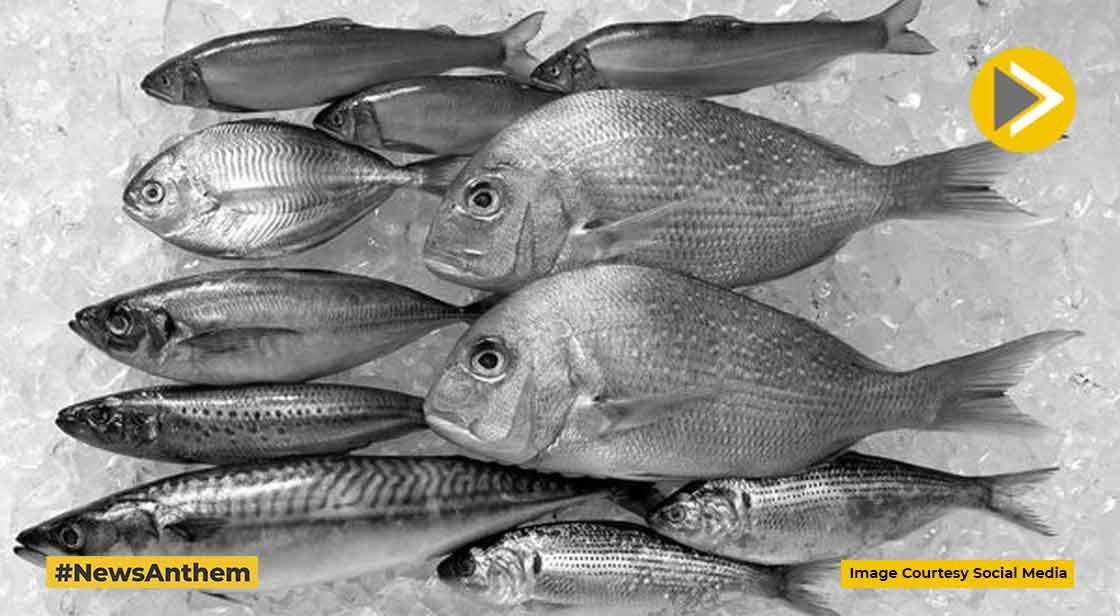 Climate Change Lowering Fish Species