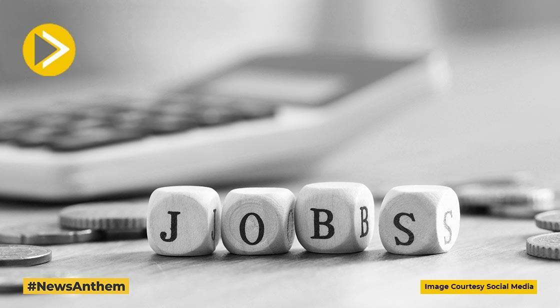 TCS Hiring Freshers with Tech Skills and Big Salaries – Know the Process