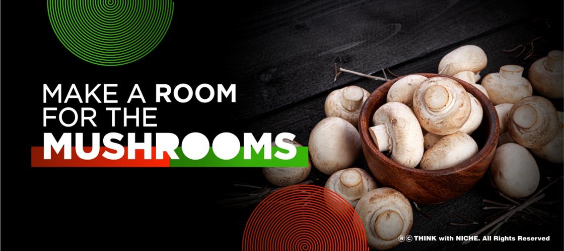 grow-mushrooms-at-home-and-start-a-sustainable-business