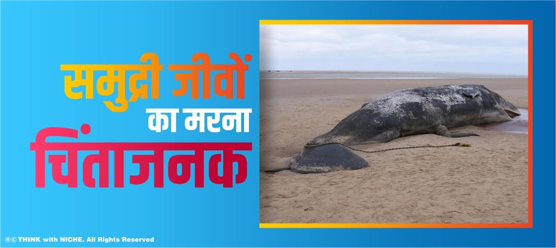 समुद्री जीवों का मरना चिंताजनक
