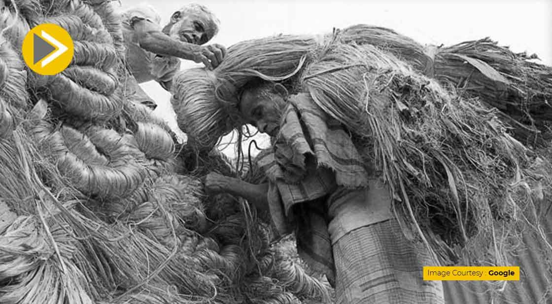 कच्चे जूट की मूल्य सीमा हटाने का केंद्र ने लिया फैसला