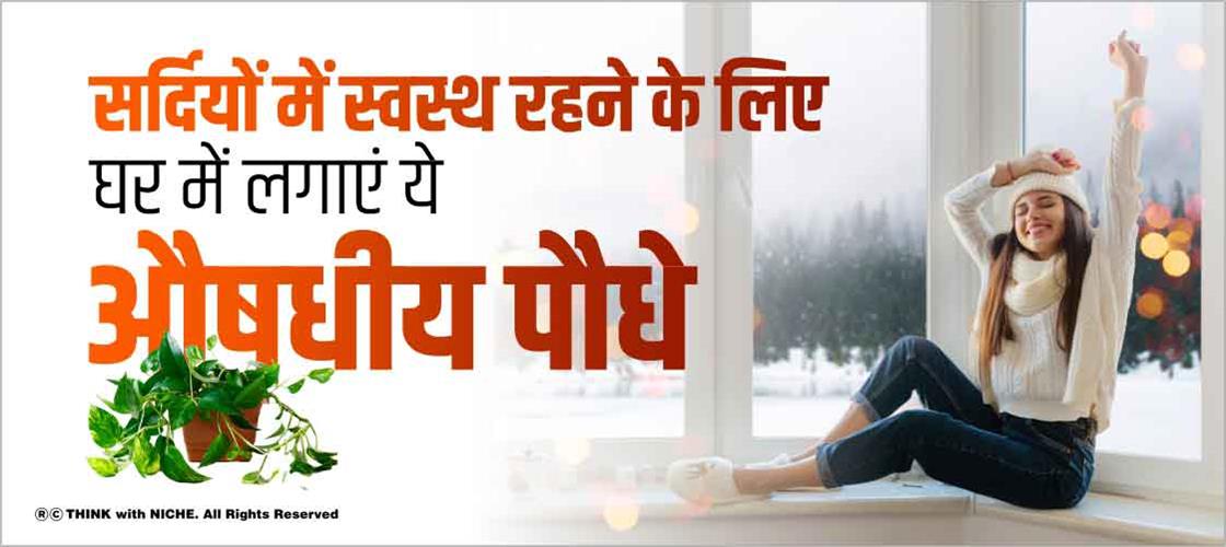 सर्दियों में स्वस्थ रहने के लिए घर में लगाएं ये औषधीय पौधे