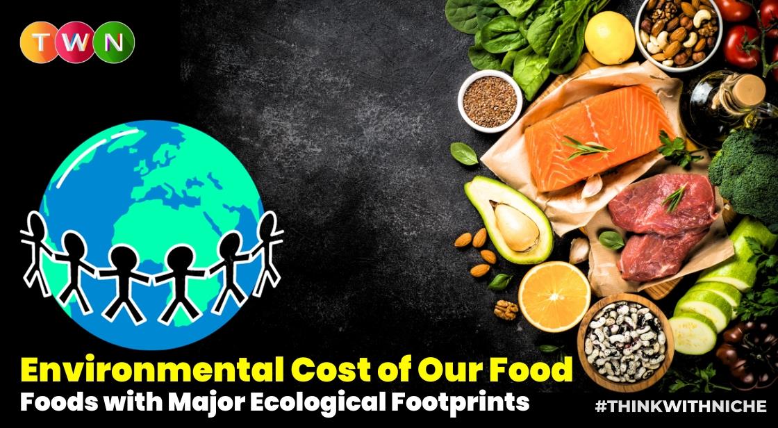 Understanding the Environmental Cost of Our Diet: Foods with Major Ecological Footprints