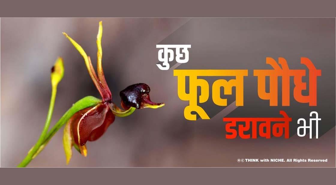 कुछ फूल पौधे डरावने भी 