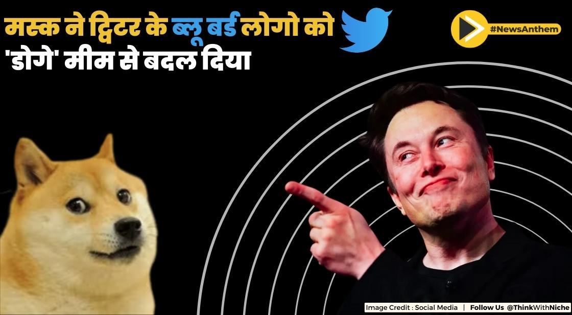 मस्क ने ट्विटर के ब्लू बर्ड लोगो को 'डोगे' मीम से बदल दिया