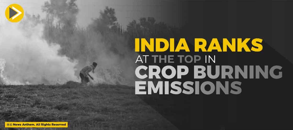 India Ranks At The Top In Crop Burning Emissions