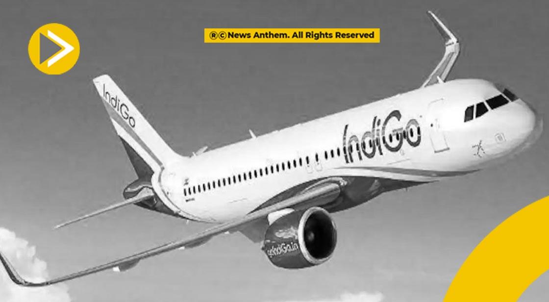 दुनिया की छठी सबसे बड़ी एयरलाइन कंपनी बनी IndiGo