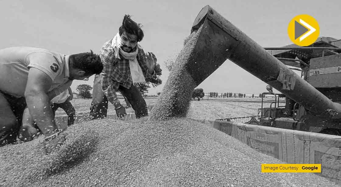 भारत को पब्लिक स्टॉक से अनाज निर्यात की मिल सकती है छूट