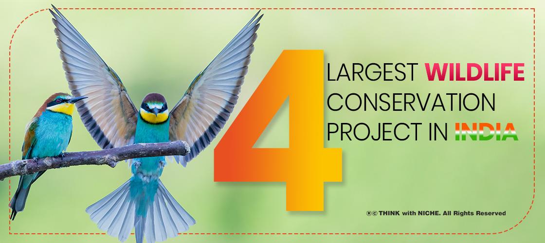 4 Largest Wildlife Conservation Project in India