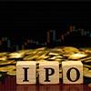 India's Biggest IPOs of 2021 With Highest Listing Gains