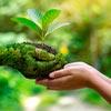 It’s High Time We All Adopt a Sustainable Lifestyle. Here Are 6 Easy Tips To Help You