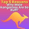 5 Reasons Why Male Kangaroos Are So Buff